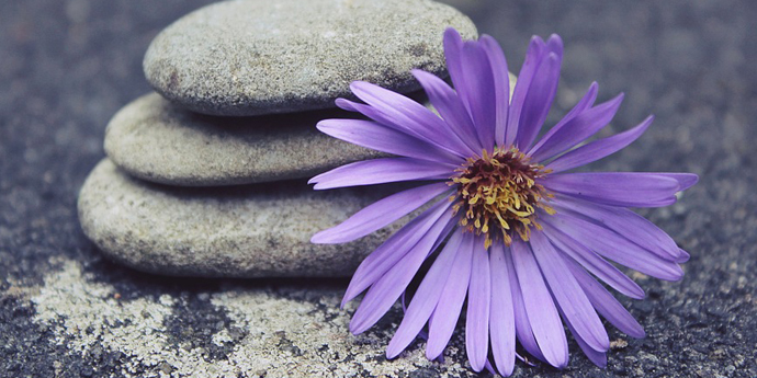 Ruhepunkte in der Passion